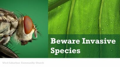 Beware Invasive Species